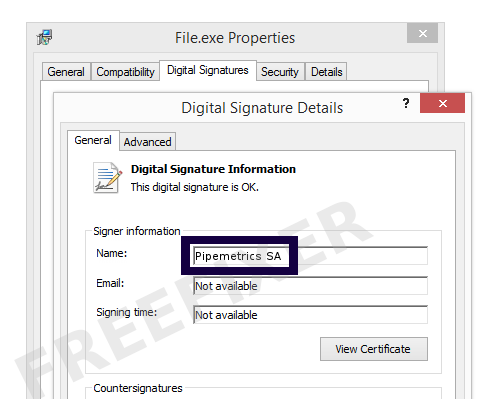 Screenshot of the Pipemetrics SA certificate